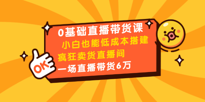 0基础直播带货课：小白也能低成本搭建疯狂卖货直播间：1场直播带货6万-晟哥学社资源库