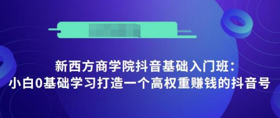 抖音基础入门班：小白0基础学习打造一个高权重赚钱的抖音号-晟哥学社资源库
