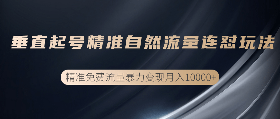 垂直起号精准自然流量连爆玩法，精准引流暴力变现月入10000+-晟哥学社资源库
