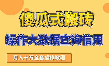 搬砖操作大数据查询信用项目赚钱教程，祝你快速月入6万-晟哥学社资源库