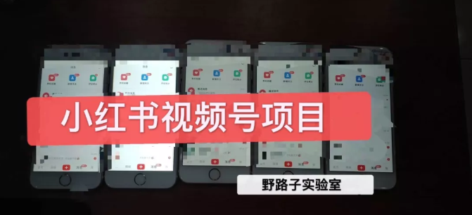 野路子小红书视频号1.0项目，直接上手操作就能赚钱的视频号项目-晟哥学社资源库