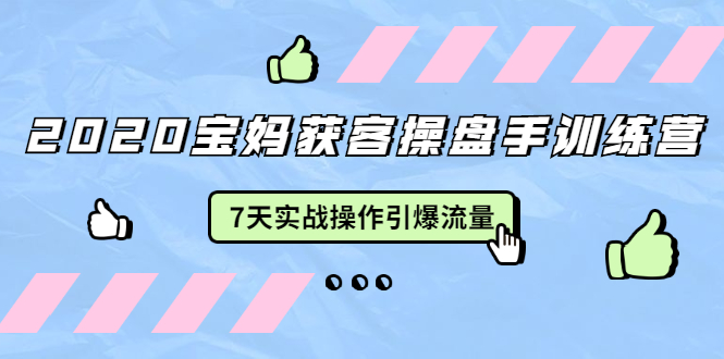 2020宝妈获客操盘手训练营：7天实战操作引爆 母婴、都市、购物宝妈流量-晟哥学社资源库