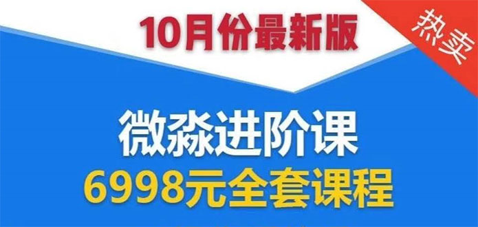 微淼理财进阶课全套视频：助你早点实现财务自由，理论学习+案例分析+实操-晟哥学社资源库