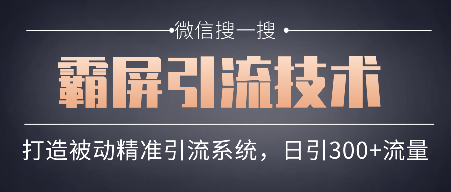 微信搜一搜霸屏引流技术，打造被动精准引流系统，轻松日引300+流量-晟哥学社资源库