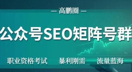 高鹏圈公众号SEO矩阵号群，实操20天纯收益25000+，普通人都能做-晟哥学社资源库