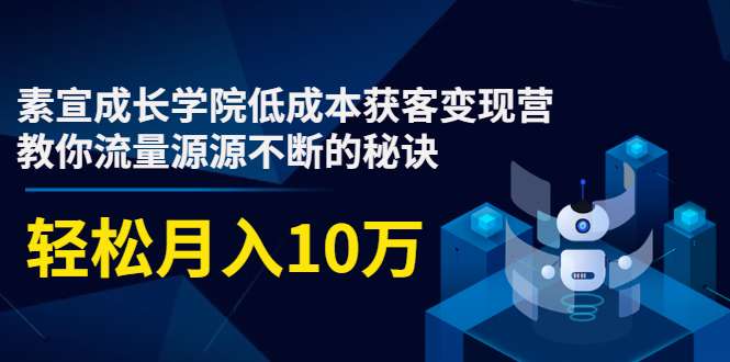 素宣成长学院低成本获客变现营，教你流量源源不断的秘诀，轻松月入10万-晟哥学社资源库
