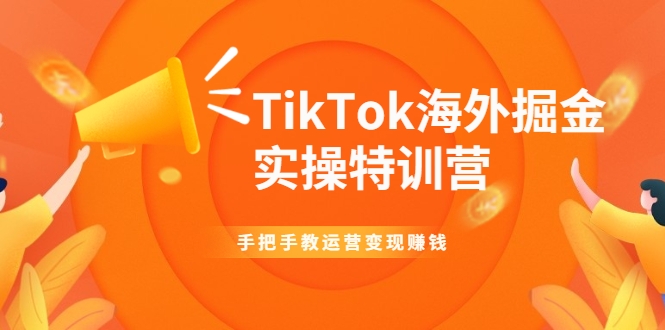 TikTok海外掘金实操特训营：手把手教运营变现赚钱-晟哥学社资源库