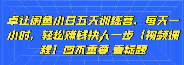 卓让闲鱼小白五天训练营，每天一小时，轻松赚钱快人一步-晟哥学社资源库