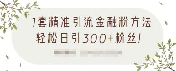 1套精准引流金融粉方法，轻松日引300+粉丝-晟哥学社资源库