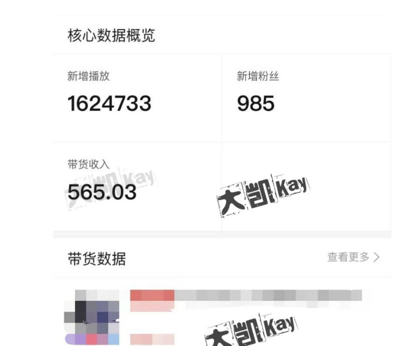 大凯进阶圈新玩法之拼多多视频玩法，利润大概一个号一天能有500~1500的左右!-晟哥学社资源库
