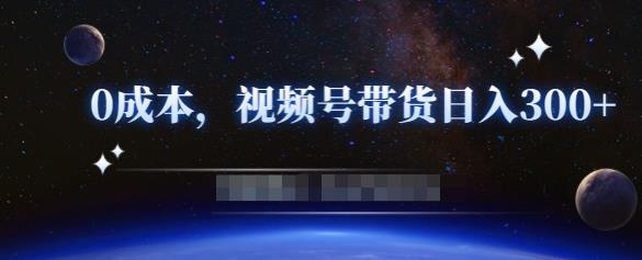 零基础视频号带货赚钱项目，0成本0门槛轻松日入300+【视频教程】-晟哥学社资源库