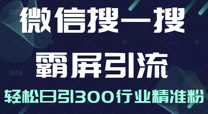 微信搜一搜霸屏引流课，打造被动精准引流系统，轻松日引300行业精准粉-晟哥学社资源库