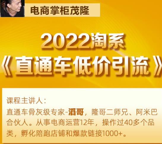 茂隆2022直通车低价引流玩法，教大家如何低投入高回报的直通车玩法-晟哥学社资源库