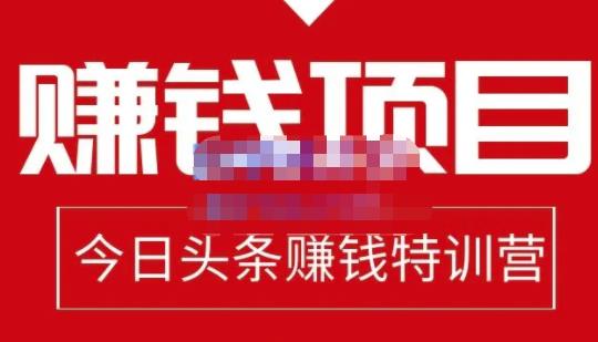 懒人领域·今日头条项目玩法，头条中视频项目，单号收益在50—500可批量-晟哥学社资源库
