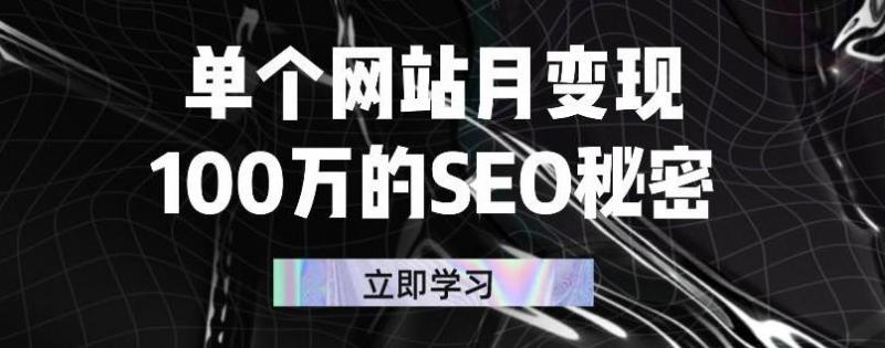 单个网站月变现100万的SEO秘密，百分百做出赚钱站点-晟哥学社资源库