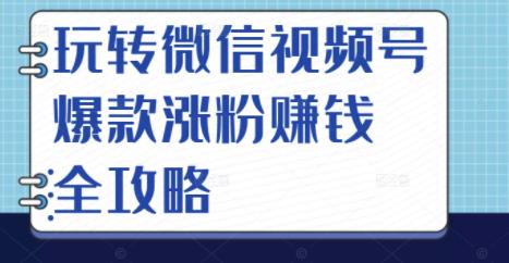 玩转微信视频号爆款涨粉赚钱全攻略，让你快速抓住流量风口，收获红利财富-晟哥学社资源库