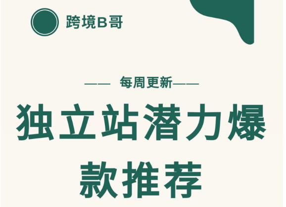 【跨境B哥】独立站潜力爆款选品推荐，测款出单率高达百分之80-晟哥学社资源库