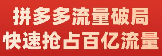 阿杰·拼多多流量破局:如何打黑标，爆款的思路，拼多多流量框架，快速抢占百亿流量-晟哥学社资源库