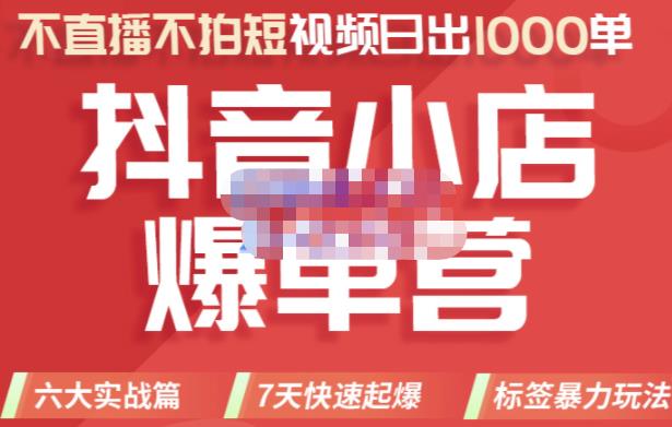 推易电商·2022年抖音小店爆单营，不直播、不拍短视频、日出1000单，暴力玩法-晟哥学社资源库