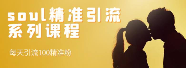 soul精准引流系列课程，每天引流100精准粉-晟哥学社资源库