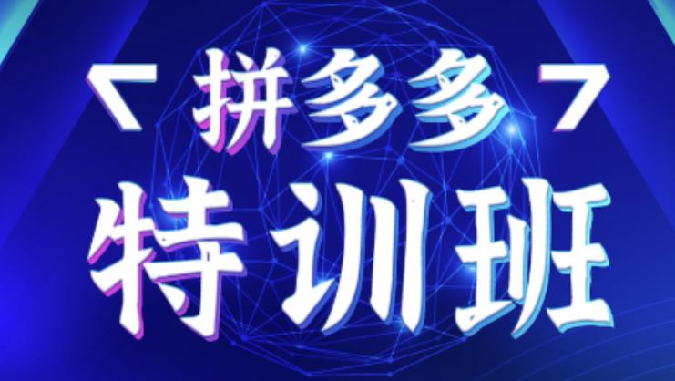 星雪教育·拼多多基础班+进阶班+突破班，用系统的学习模式快速改变现状价值3580元-晟哥学社资源库