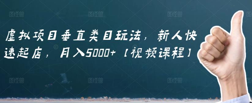 虚拟项目垂直类目玩法，新人快速起店，月入5000+【视频课程】-晟哥学社资源库