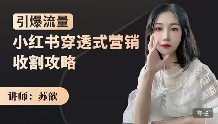 苏歆：小红书穿透式营销收割攻略，引爆流量，助你玩转小红书-晟哥学社资源库