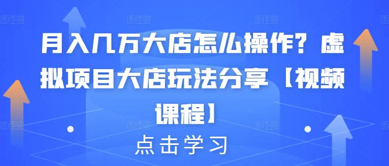 月入几万大店怎么操作？虚拟项目大店玩法分享【视频课程】-晟哥学社资源库