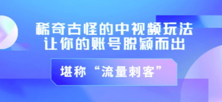 不讲李·稀奇古怪的冷门中视频冷门玩法，让你的账号脱颖而出，成为流量刺客！（图文+视频）-晟哥学社资源库