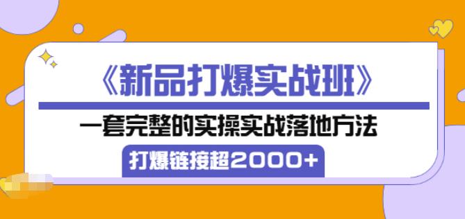 凌童《新品打爆实战班》,一套完整的实操实战落地方法，打爆链接超2000+（28节课)-晟哥学社资源库