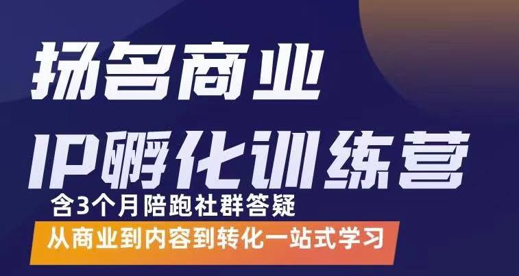 杨名商业IP孵化训练营，从商业到内容到转化一站式学 价值5980元-晟哥学社资源库