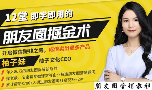 【营销必学】12堂学之即用的朋友圈掘金术：开启你的副业赚钱之路-晟哥学社资源库