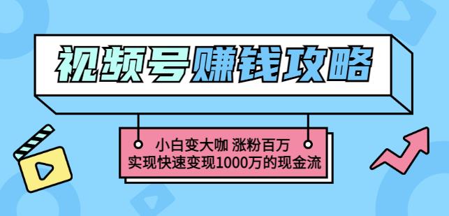 玩转微信视频号赚钱：小白变大咖涨粉百万实现快速变现1000万的现金流-晟哥学社资源库