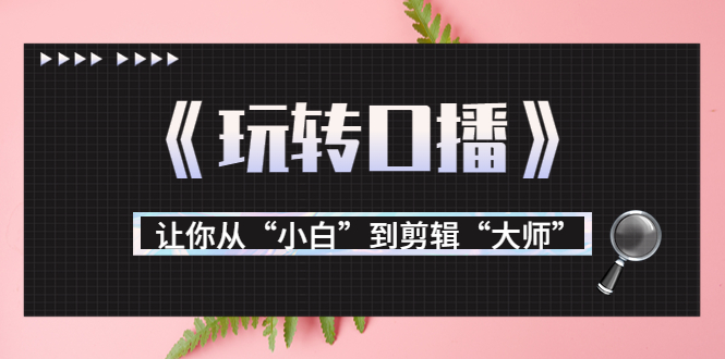 月营业额700万+大佬教您《玩转口播》让你从“小白”到剪辑“大师”-晟哥学社资源库