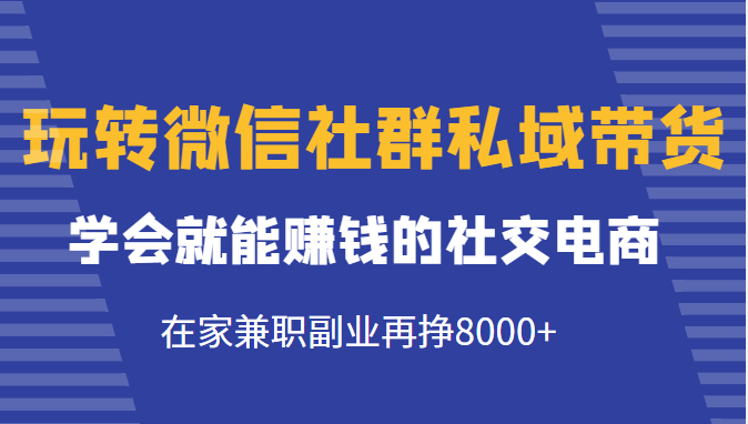 玩转微信社群私域带货，学会就能赚钱的社交电商，在家兼职副业再挣8000+-晟哥学社资源库