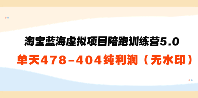 淘宝蓝海虚拟项目陪跑训练营5.0：单天478纯利润-晟哥学社资源库