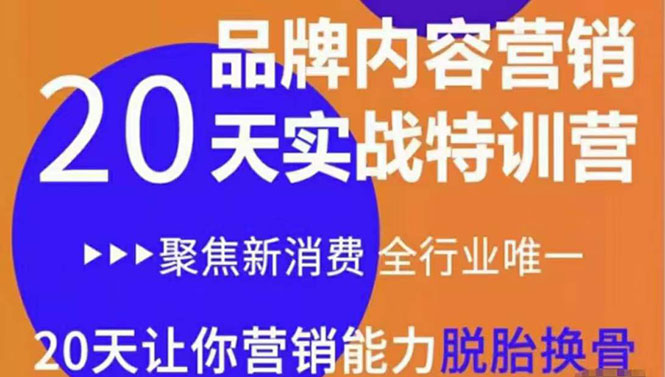 《内容营销实操特训营》20天让你营销能力脱胎换骨（价值3999）-晟哥学社资源库