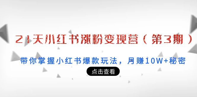 21天小红书涨粉变现营（第3期）：带你掌握小红书爆款玩法，月赚10W+秘密-晟哥学社资源库