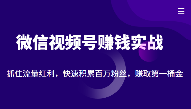 微信视频号赚钱实战：抓住流量红利，快速积累百万粉丝，赚取你的第一桶金-晟哥学社资源库