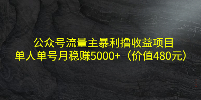 公众号流量主暴利撸收益项目，单人单号月稳赚5000+（价值480元）-晟哥学社资源库