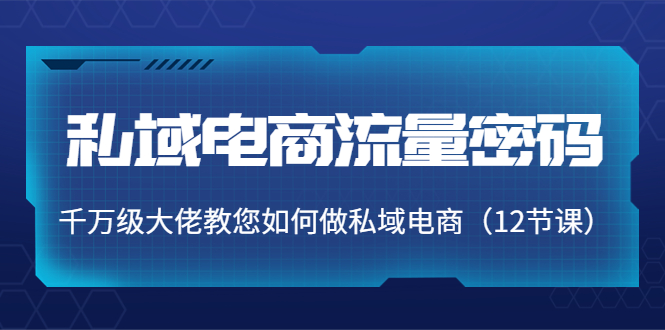 私域电商流量密码：千万级大佬教您如何做私域电商（12节课）-晟哥学社资源库