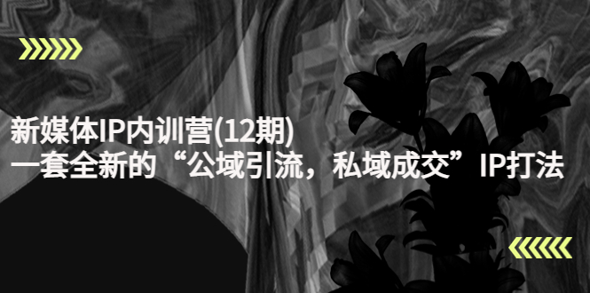 新媒体IP内训营(12期)，一套全新的“公域引流，私域成交”IP打法，直接带走-晟哥学社资源库