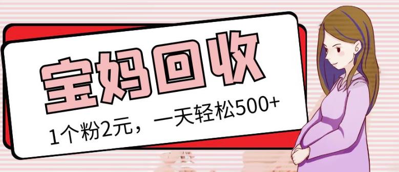最新小红书母婴号宝妈粉回收项目，1个粉2元，一天轻松500+案例分享【粉丝包回收】-晟哥学社资源库