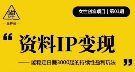 资料IP变现，能稳定日赚3000起的持续性盈利玩法-晟哥学社资源库