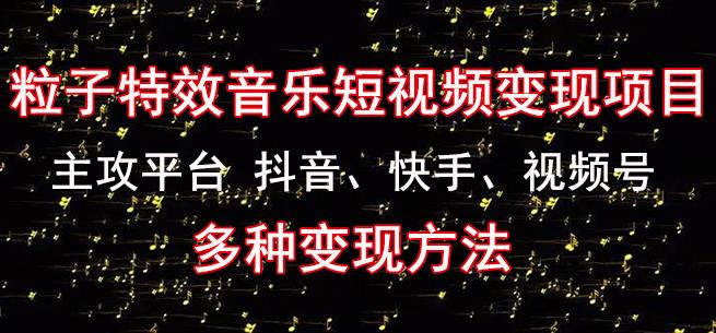 黄岛主《粒子特效音乐短视频变现项目》主攻平台抖音、快手、视频号多种变现方法-晟哥学社资源库