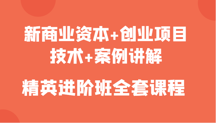 新商业资本+创业项目，技术+案例讲解，精英进阶班全套课程-晟哥学社资源库