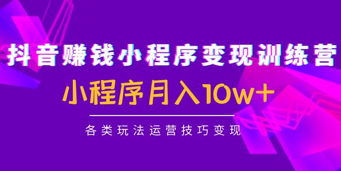 抖音赚钱小程序变现训练营：小程序月入10w+各类玩法运营技巧变现-晟哥学社资源库