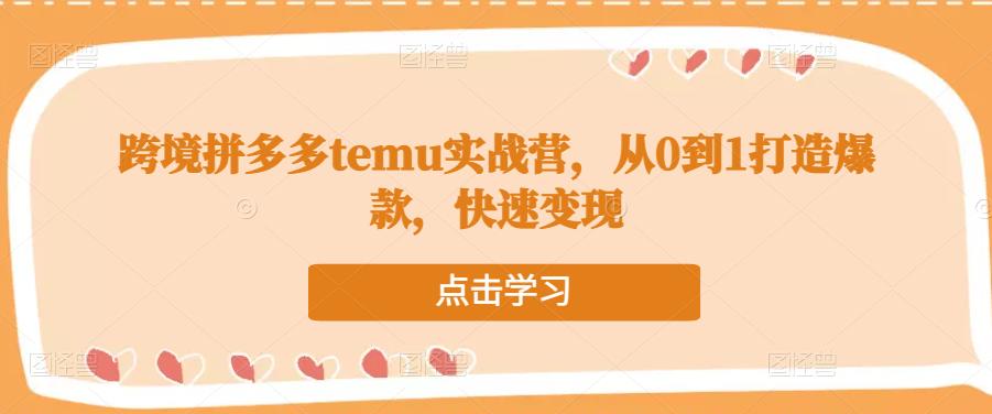 跨境拼多多temu实战营，从0到1打造爆款，快速变现-晟哥学社资源库