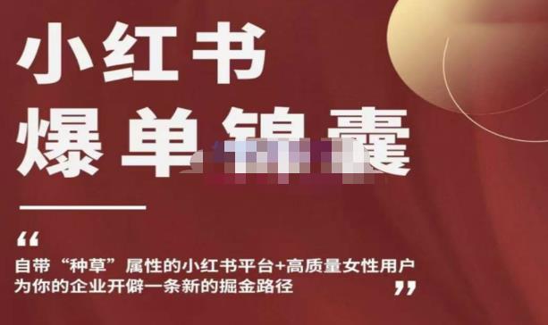 小红书爆单锦囊，自带种草属性+高质量女性用户，为你的企业开辟一条新的掘金路径-晟哥学社资源库