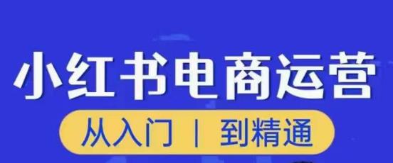 顽石小红书电商高阶运营课程，从入门到精通，玩法流程持续更新-晟哥学社资源库